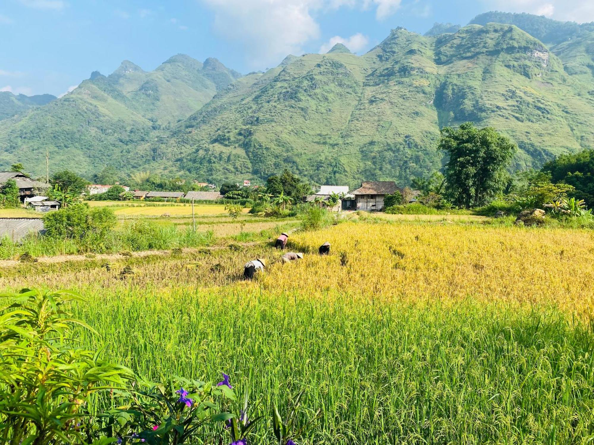 Du Gia Field View Homestay Lang Cac Экстерьер фото