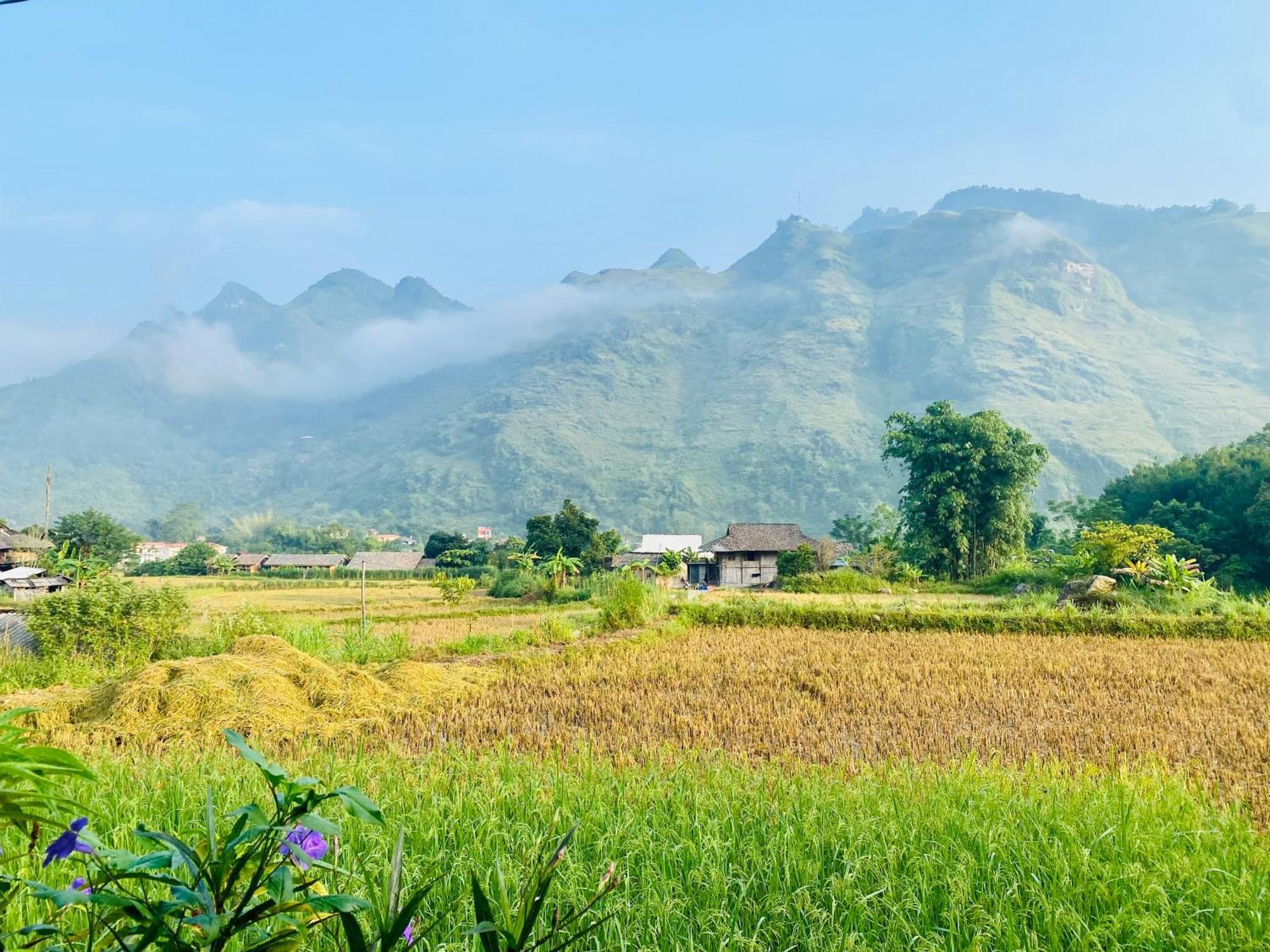 Du Gia Field View Homestay Lang Cac Экстерьер фото