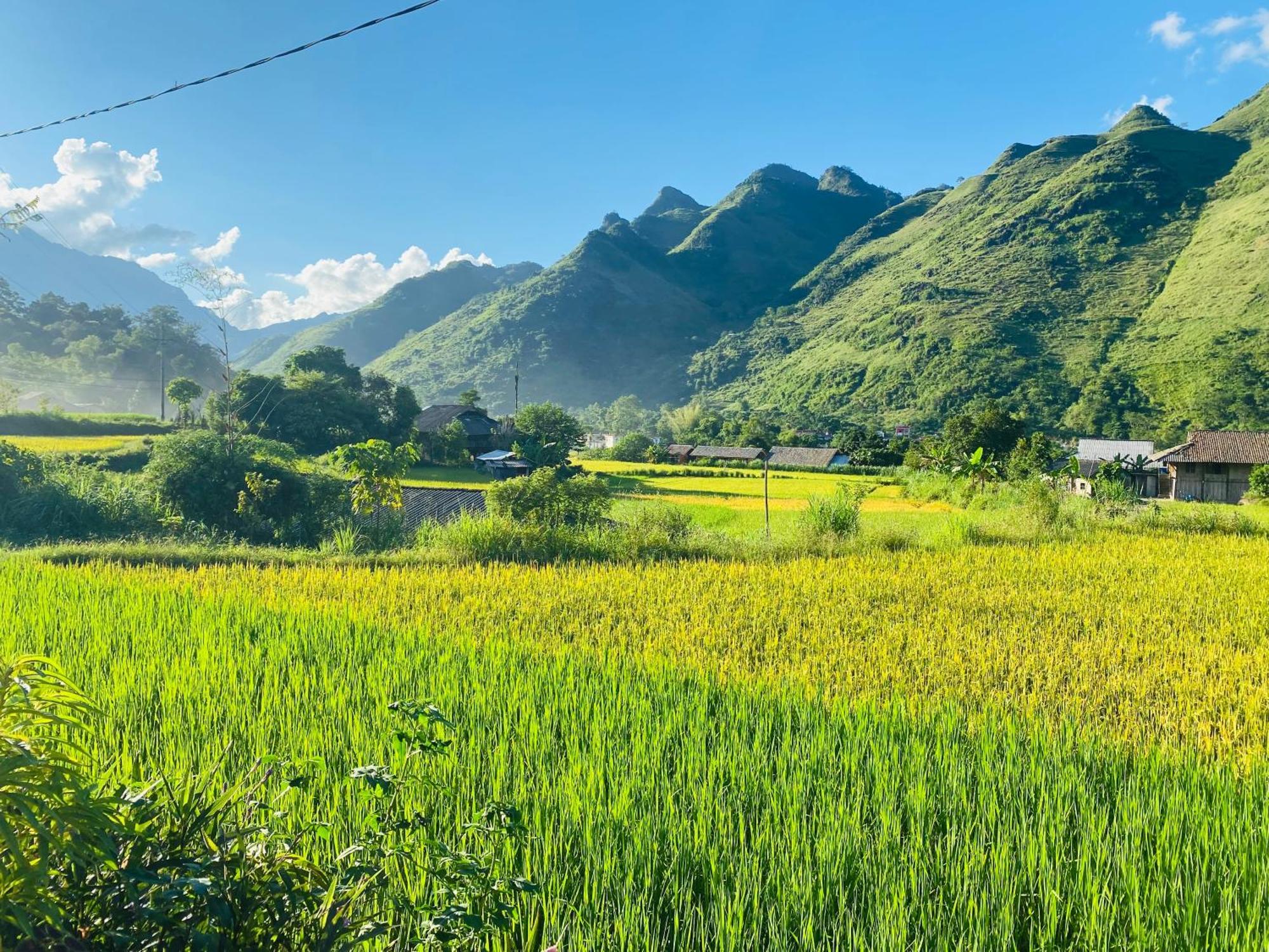 Du Gia Field View Homestay Lang Cac Экстерьер фото