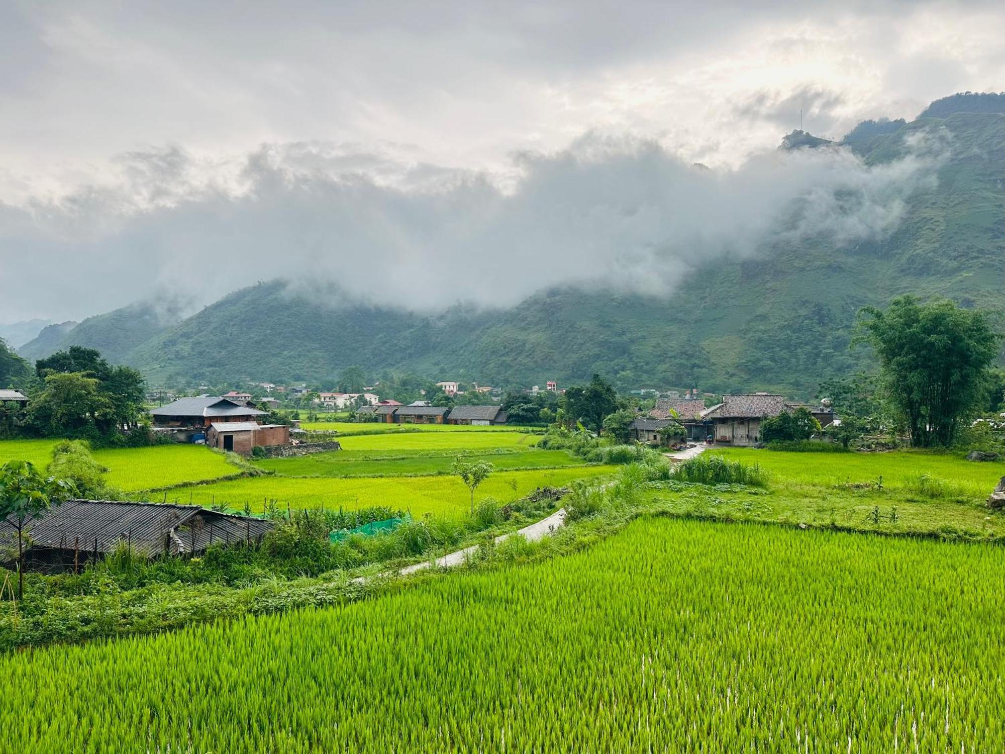 Du Gia Field View Homestay Lang Cac Экстерьер фото